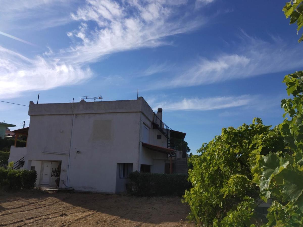 Ellina'S Home - Euboea Island Greece Oxílithos المظهر الخارجي الصورة